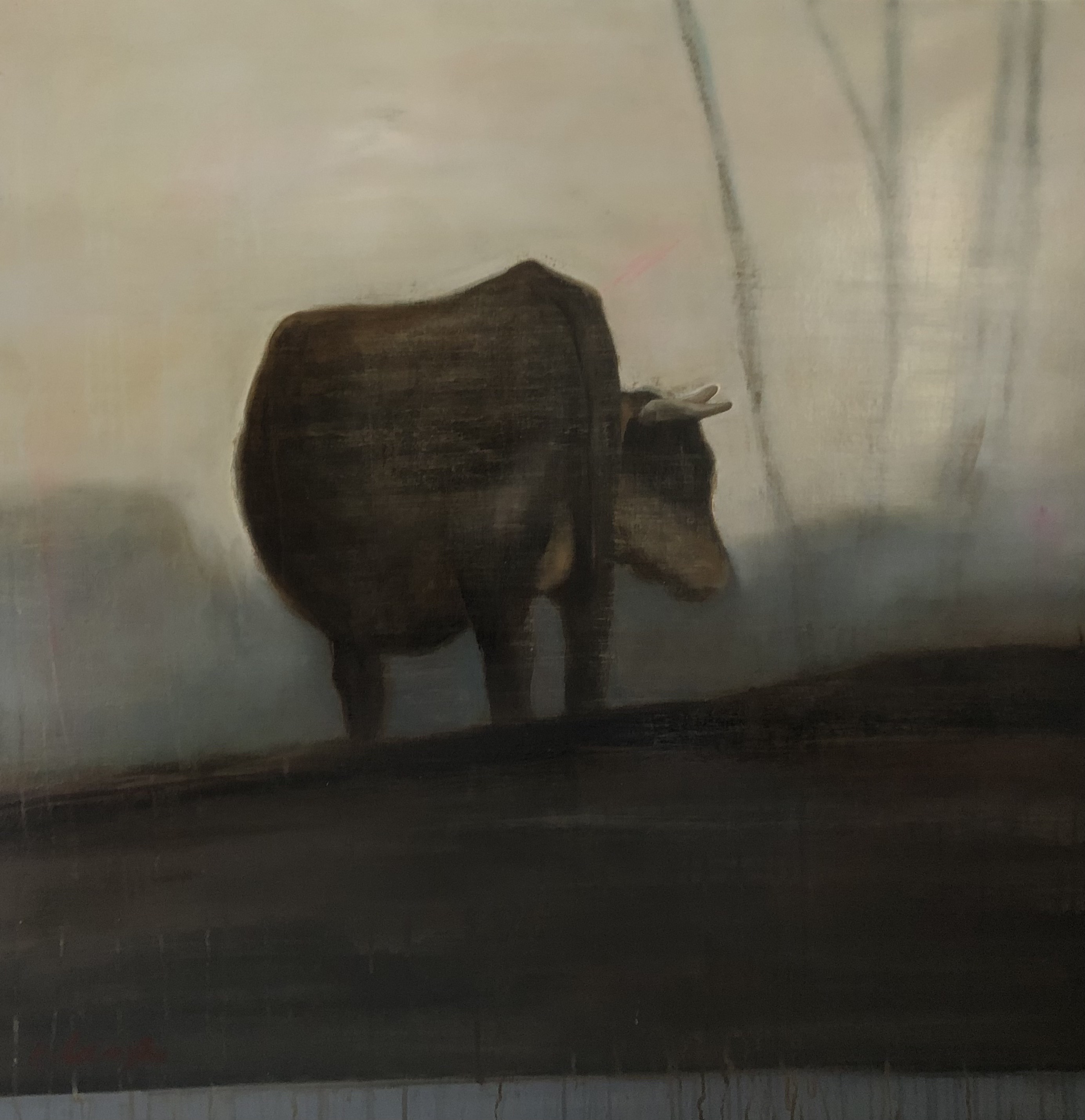 Ruminant